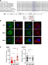 FIG 4