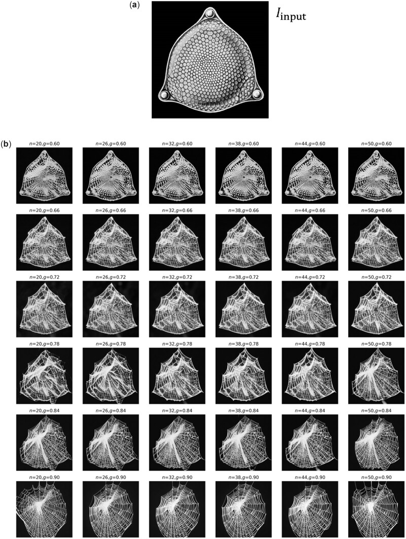 Figure 10.