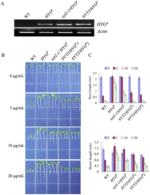 Figure 5