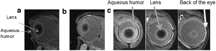 FIG. 4.