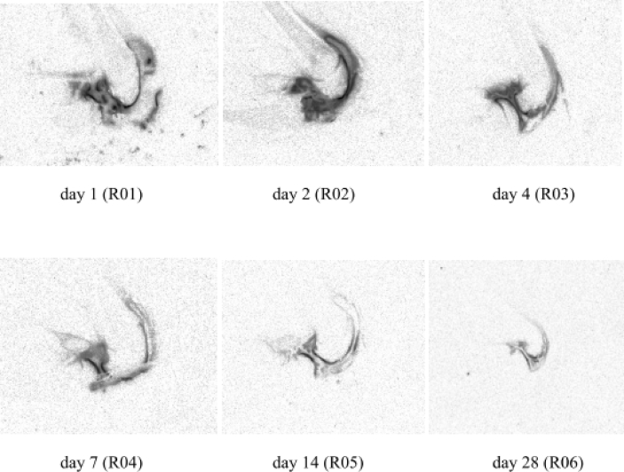 Fig. 3