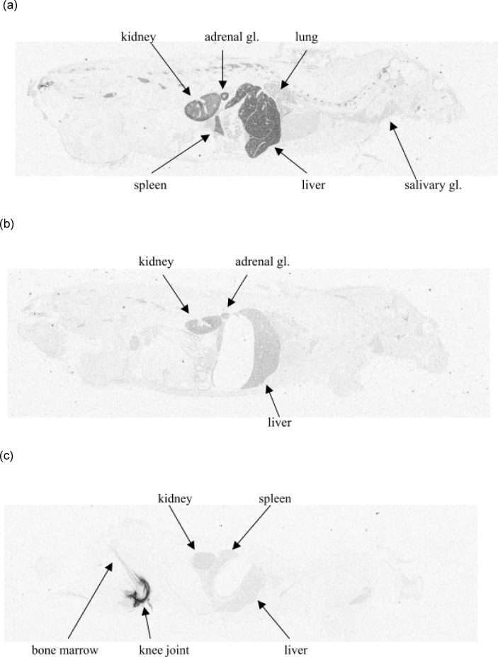 Fig. 2