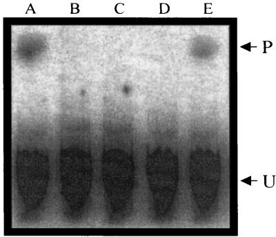 FIG. 6