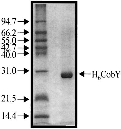 FIG. 5