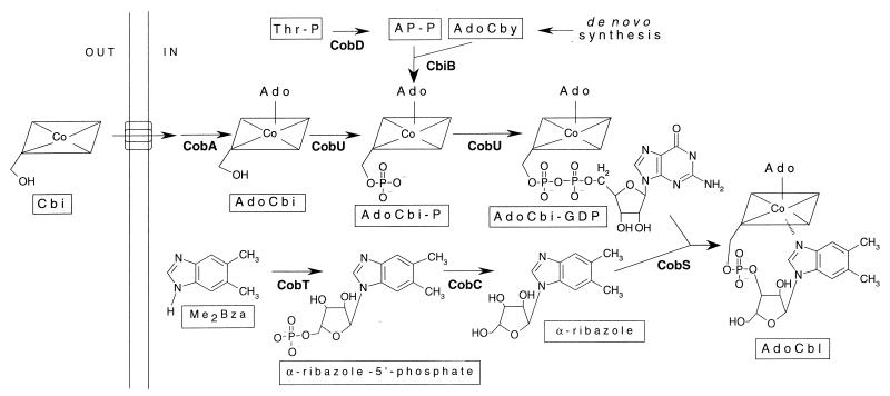 FIG. 1