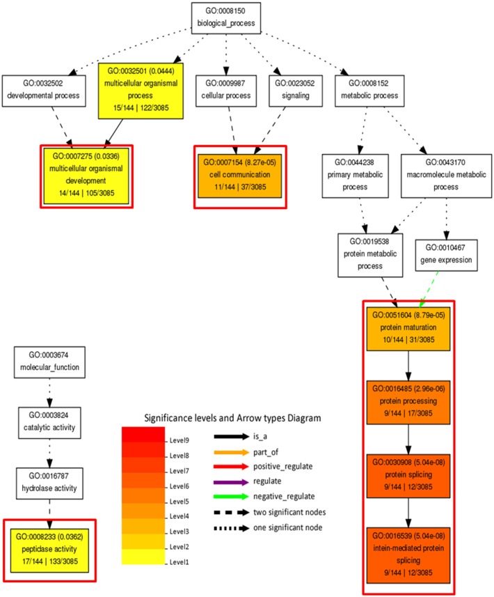 FIGURE 10