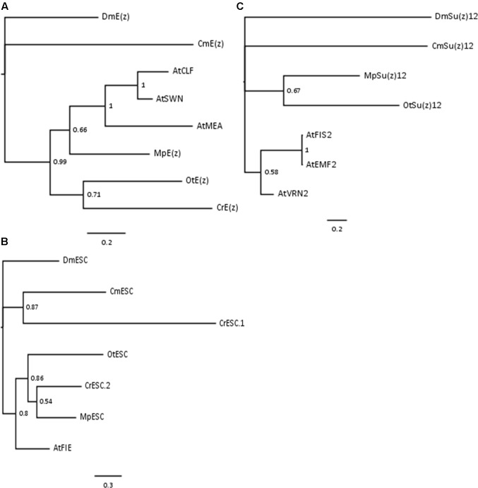 FIGURE 1