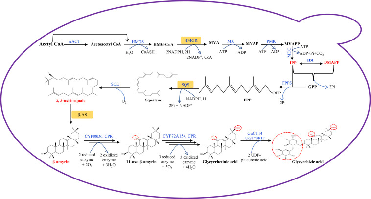 FIGURE 1