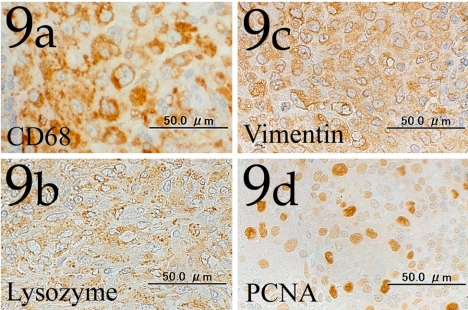 Fig. 9