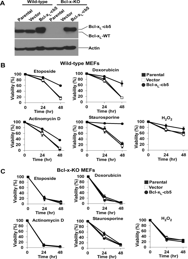 FIGURE 6: