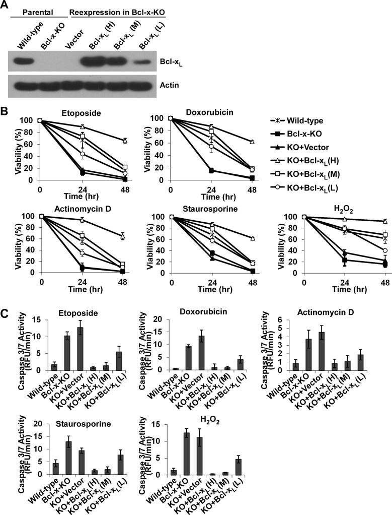 FIGURE 3: