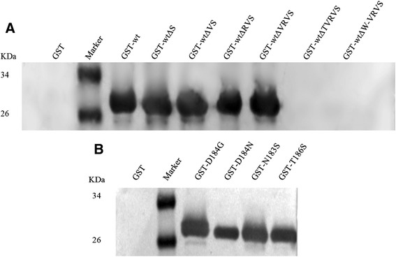 Fig. 5