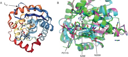 Figure 5