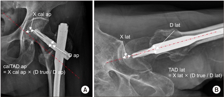 Fig. 3