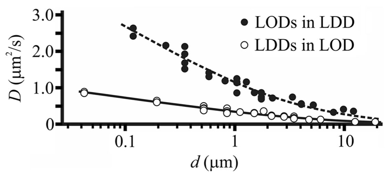 Fig. 5