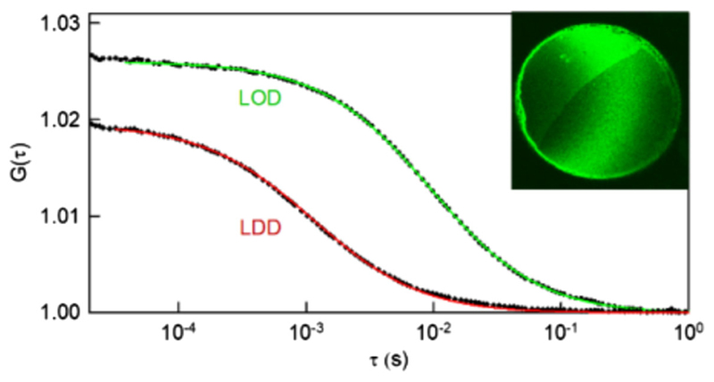 Fig. 6