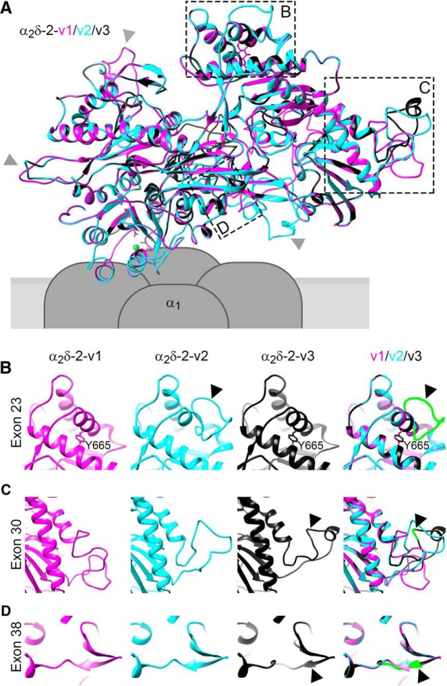 Figure 14.