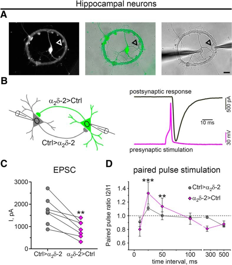 Figure 12.