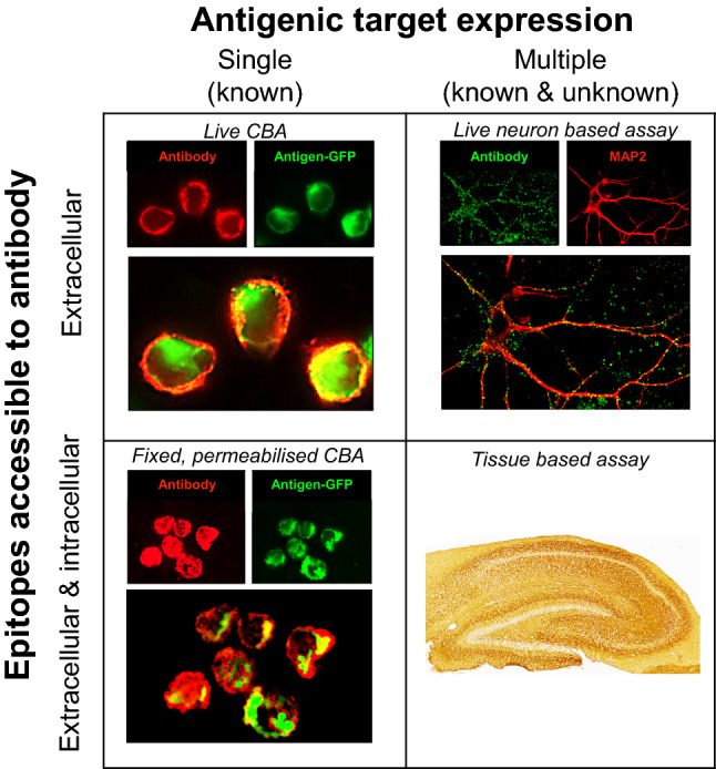 Fig. 1