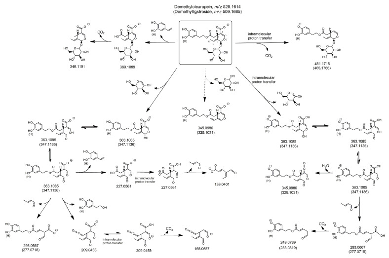 Scheme 2