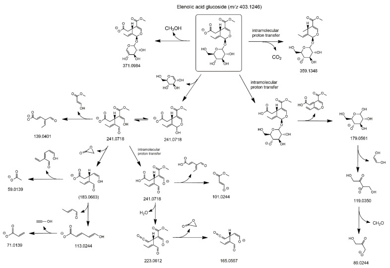 Scheme 3