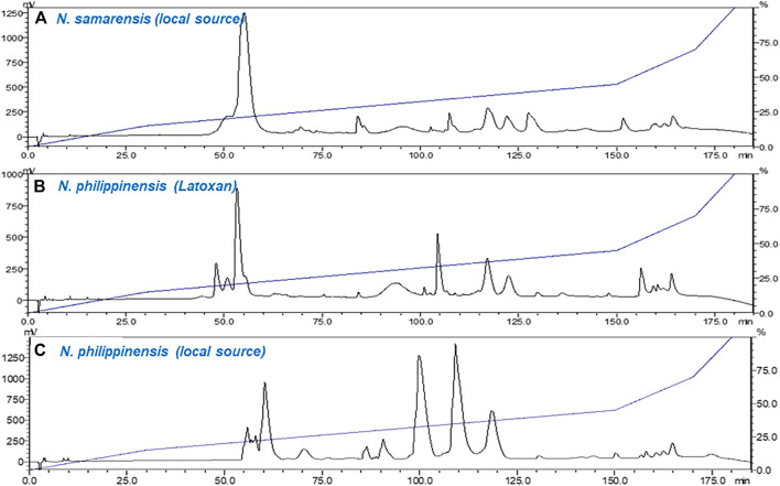 FIGURE 3