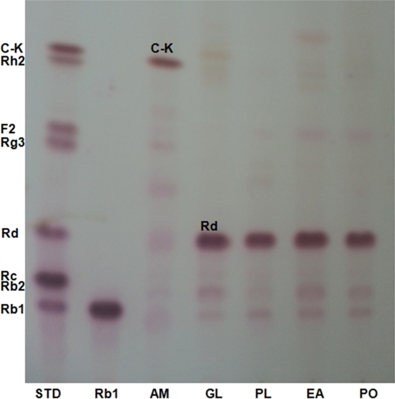 Fig. 1