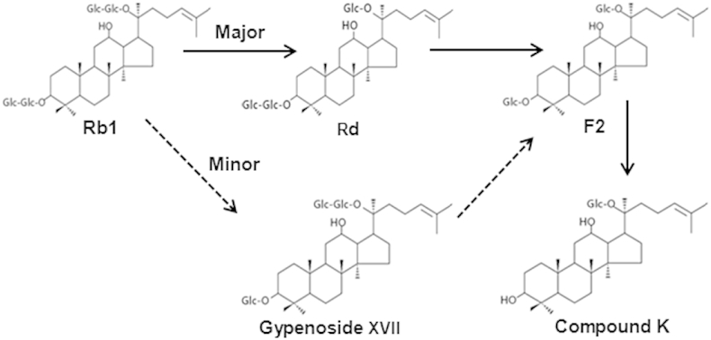 Fig. 8