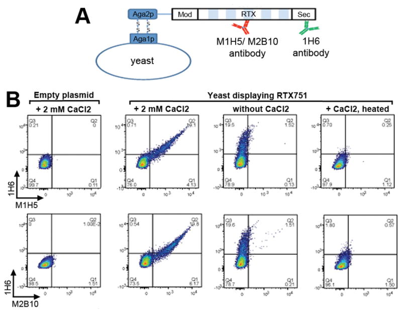 Figure 6