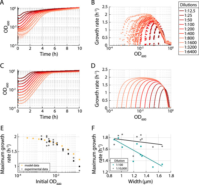 FIG 2