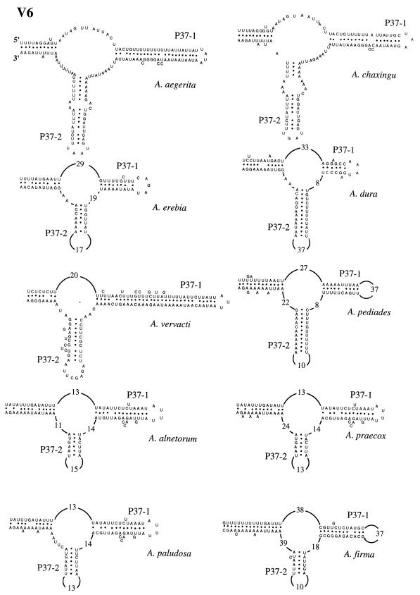 FIG. 7