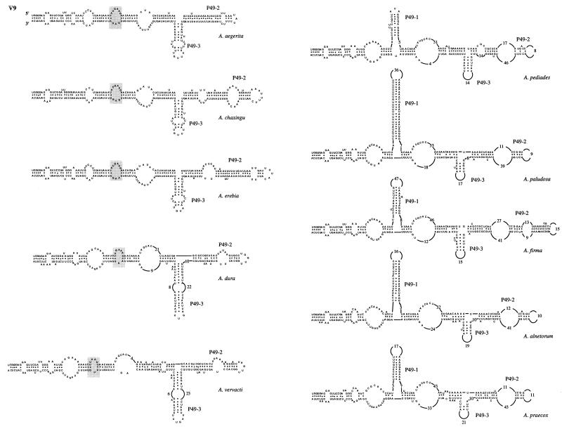 FIG. 8