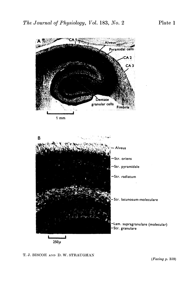 358-2