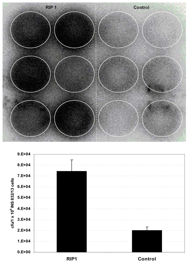 Figure 9