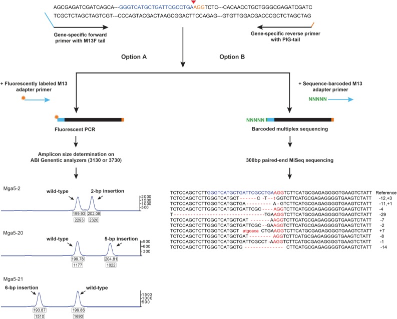 Figure 2.