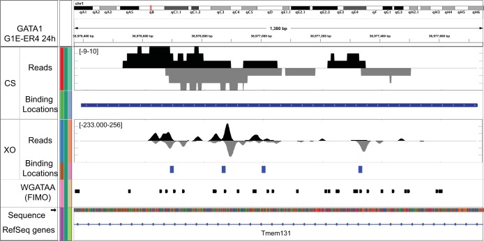 FIG 1