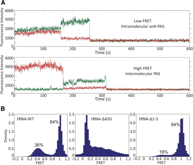 FIGURE 5.