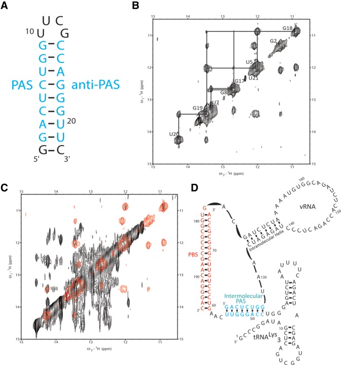 FIGURE 3.