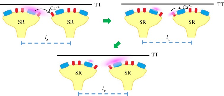 Figure 7.