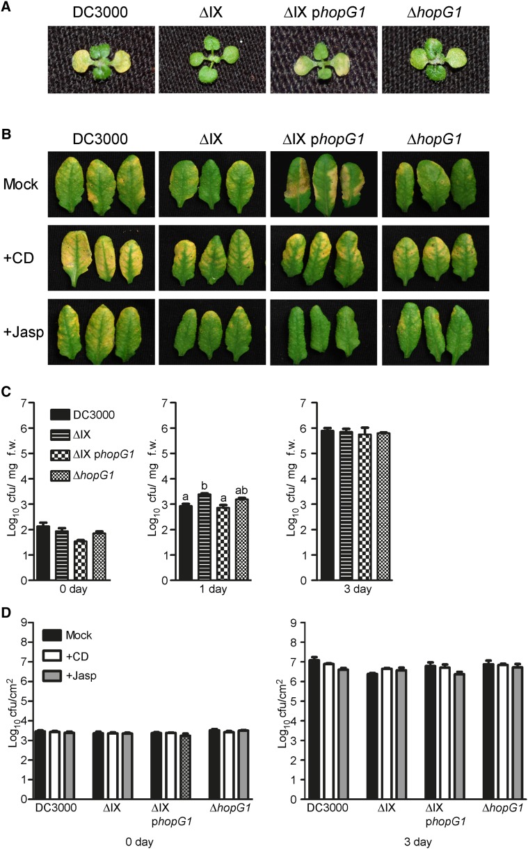 Figure 6.