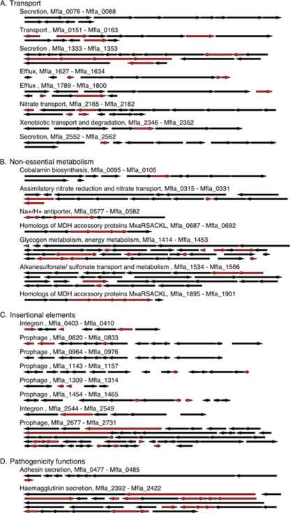 FIG. 2.