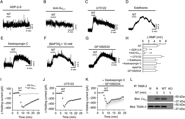 Figure 6.