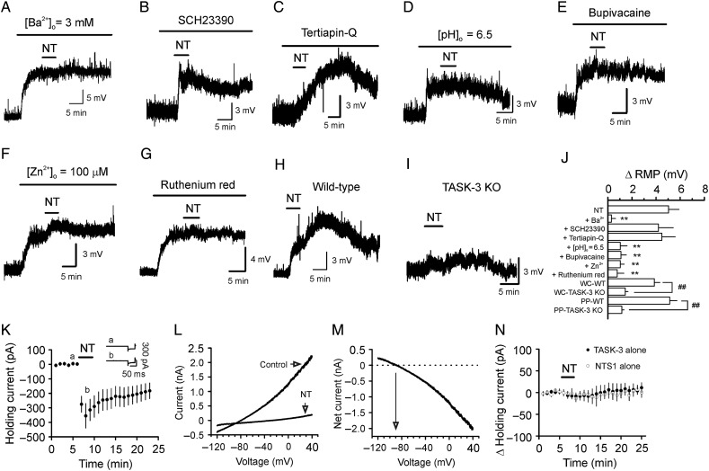 Figure 5.