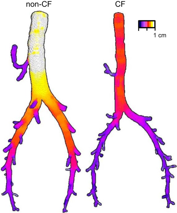 Fig. 5.