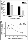 FIG. 1.