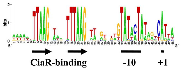 Figure 7