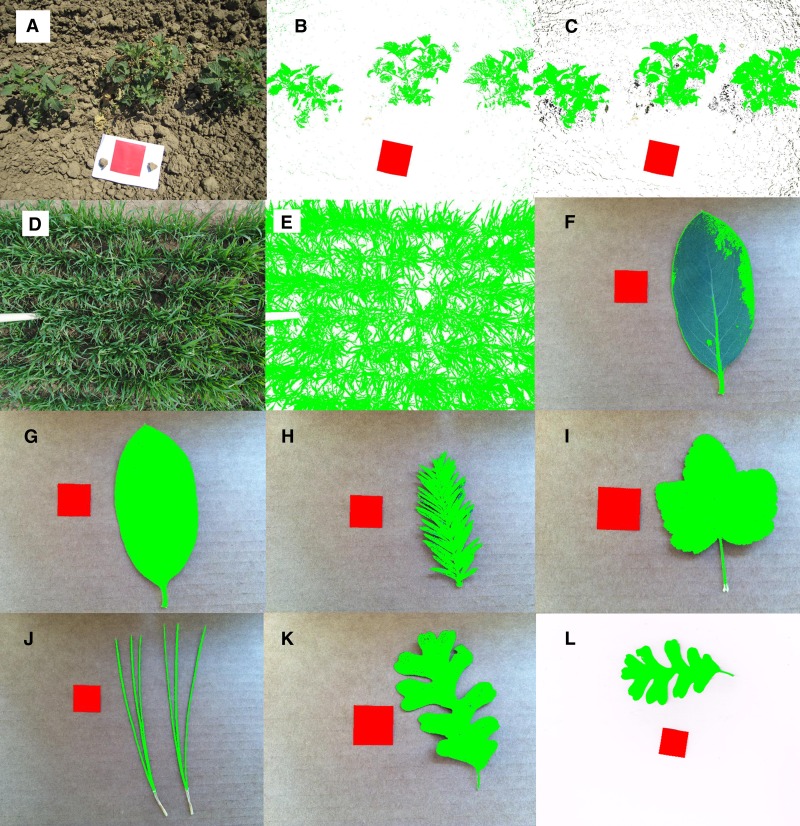 Fig. 2.