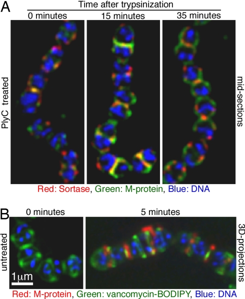 Fig. 4.