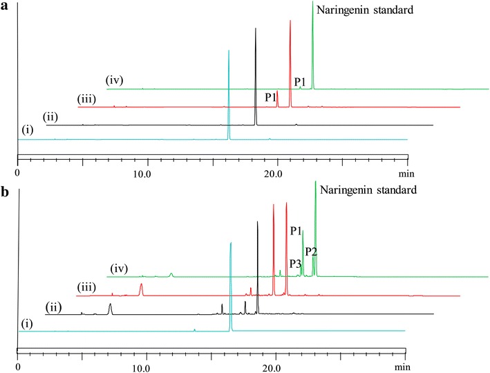 Fig. 3