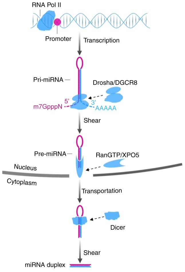 Figure 1.